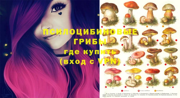 каннабис Покачи