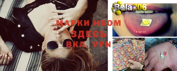 каннабис Покачи