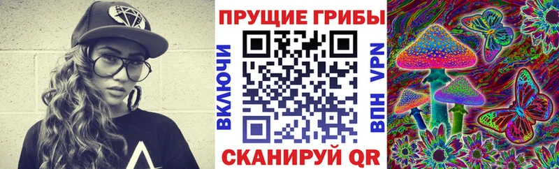 как найти закладки  Суровикино  Галлюциногенные грибы мухоморы 